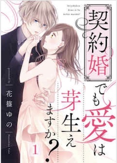 keiyakukonndemoaihamebaemasuka.jpg